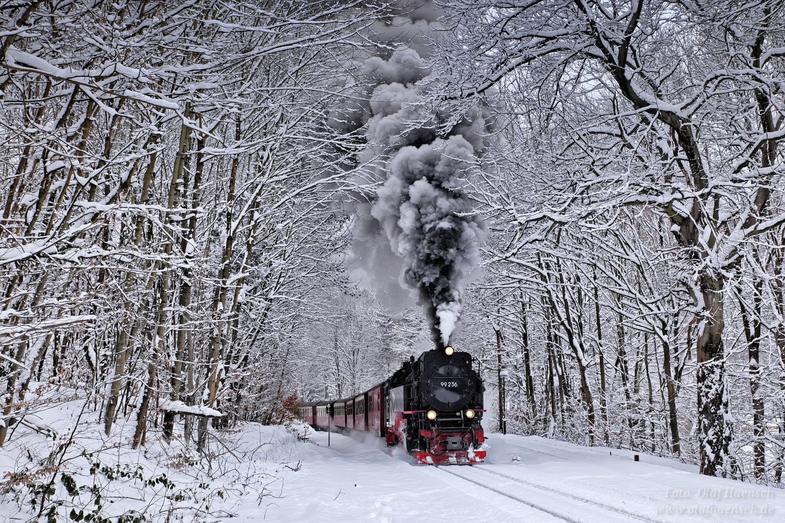 Winterwald